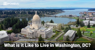 12 Key Factors to Know About Living in Washington, D.C.