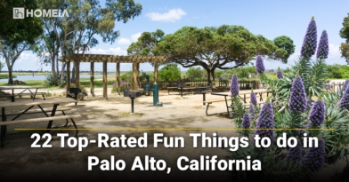 22 Top-Rated Things to Do in Palo Alto, California
