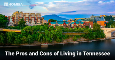 The Pros and Cons of Living in Tennessee