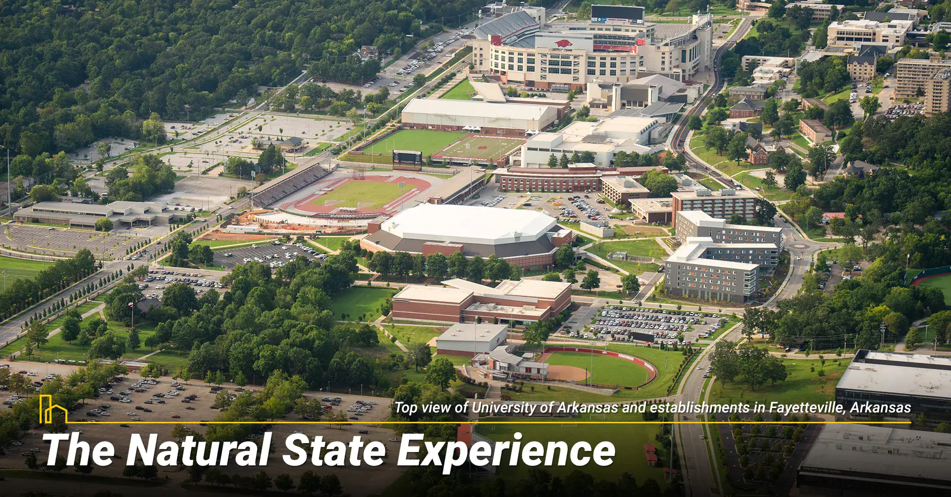 The Natural State Experience